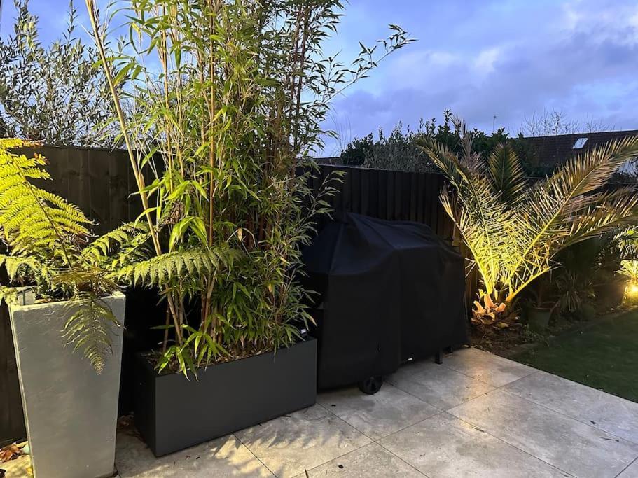 Vila Northbourne House Ferndown Exteriér fotografie